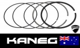 Ducati: 100mm Complete Piston Ring Set for 1 Cylinder. 996R, 998/S, 999/S, 1000 S4R/S. Genuine OEM Part 12120311A. Post included 