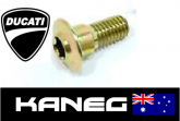 Ducati Air Box Screw 748, 916, 996, 998 Genuine OEM Part 77210171A. Yellow Chromate coloured. Post included