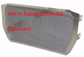 821 Ducati Monster Radiator Guard
