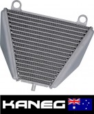 Ducati Panigale V4 oil cooler A GENUINE NEW OEM Part 54811364A - 54811363A. Post included