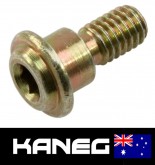 Ducati 748, 916, 996, 998 Special OEM Fuel Pump base Screw - 77210071A. Post included