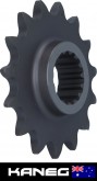 Ducati V2 Panigali 899, 959, 1199, 1299, T15 Drive Sprocket. New Genuine OEM Part 44910661A. Aust Post included