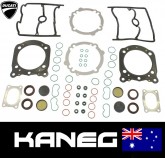 Ducati 998-S, 999-S, 1000 Monster S4R-S Complete Head Cylinder Gasket Kit. Genuine OEM Part 79120282A. Post included