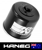 Bimota SB6-R, SB7, SB8-R: K&N 138 Race Oil filter, nut end with lock - wire hole. Post included  