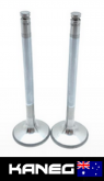 Ducati Outlet Exhaust Valve 2-piece kit: 888/916, S4, ST4; Genuine OEM Part 21120041A 29mm diam. Aust Post included 